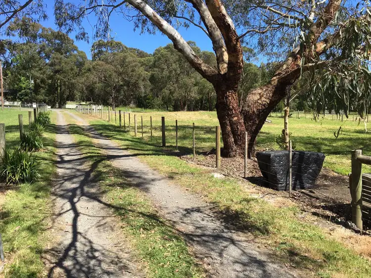 Sixth view of Homely rural property listing, 2345 Birregurra-Forrest Road, Forrest VIC 3236