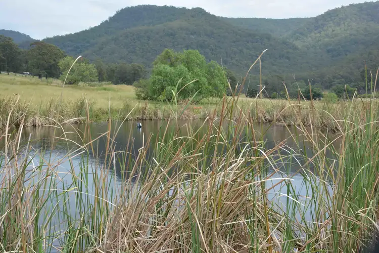 Third view of Homely rural property listing, 305 The Inlet Road, Bulga NSW 2330