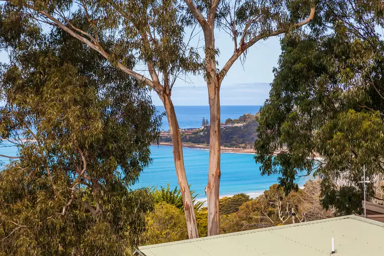 21 Normanby Terrace, Lorne VIC 3232