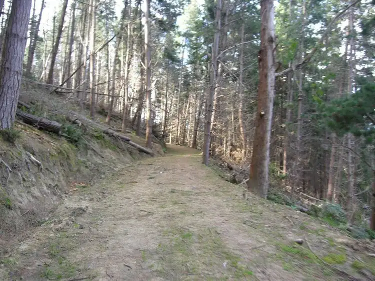 Fifth view of Homely land listing, Off Waggs Gully Road, Ranelagh TAS 7109