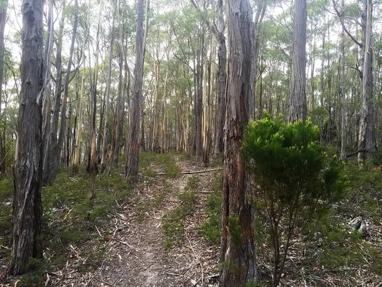 Sixth view of Homely land listing, 39 Duponts Road, Lymington TAS 7109