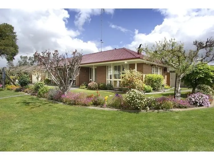 27 Sandringham Parade, Newtown VIC 3220