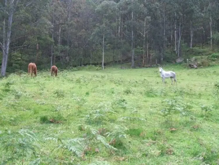 Sixth view of Homely rural property listing, Address available on request