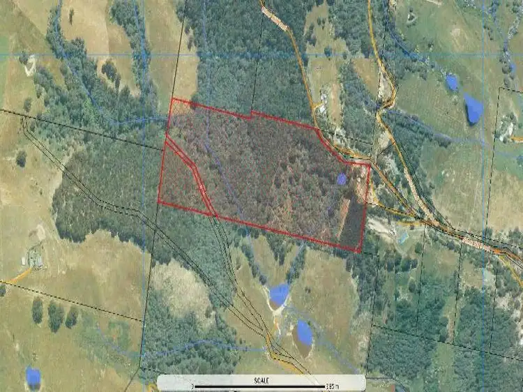 Third view of Homely house listing, 251 Silver Hill Road, Cygnet TAS 7112