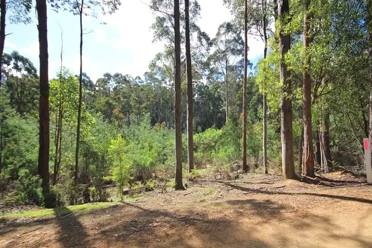 Third view of Homely land listing, Lot 1 Middle Road, Pelverata TAS 7150