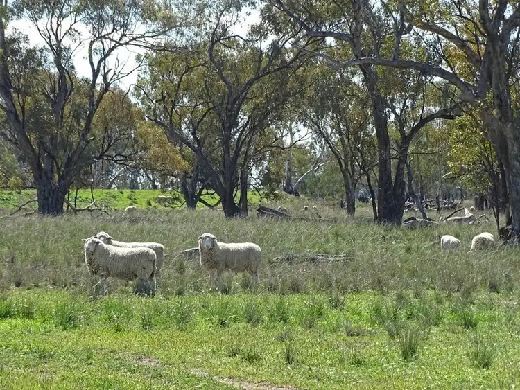 Sixth view of Homely rural property listing, Address available on request