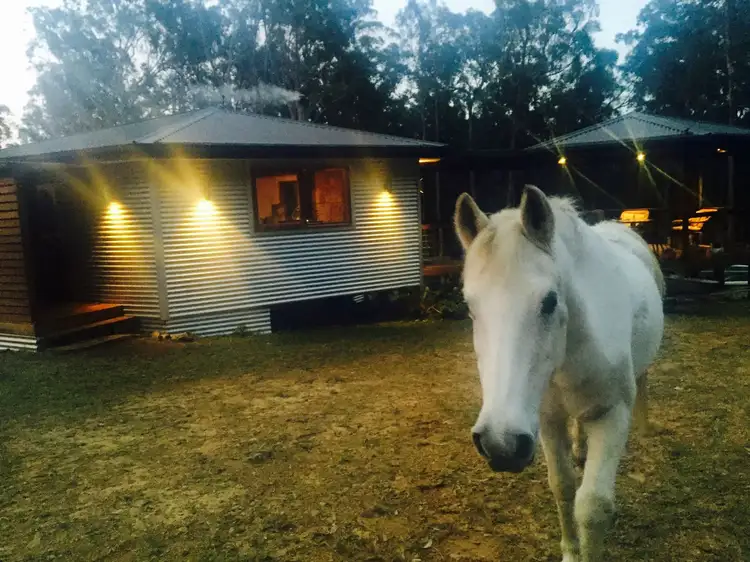 Fifth view of Homely rural property listing, Lot 2 Long Gully Rd, Drake NSW 2469