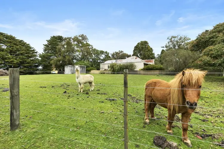 Third view of Homely rural property listing, 1125 Winchelsea - Deans Marsh Road, Bambra VIC 3241