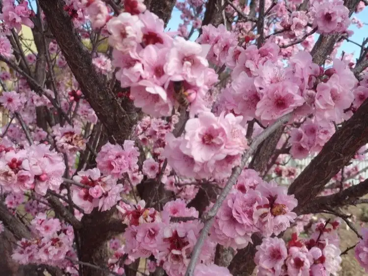 Third view of Homely house listing, 8 Philip Street, Streaky Bay SA 5680