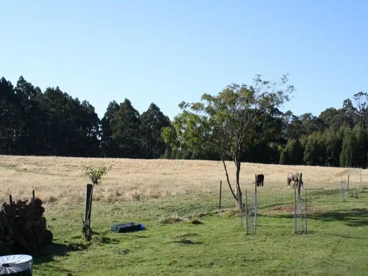 Seventh view of Homely house listing, 256 Lightwood Creek Road, Glen Huon TAS 7109