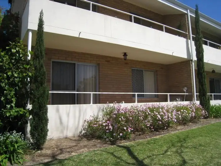 6/143 Edinboro  Street, Joondanna WA 6060