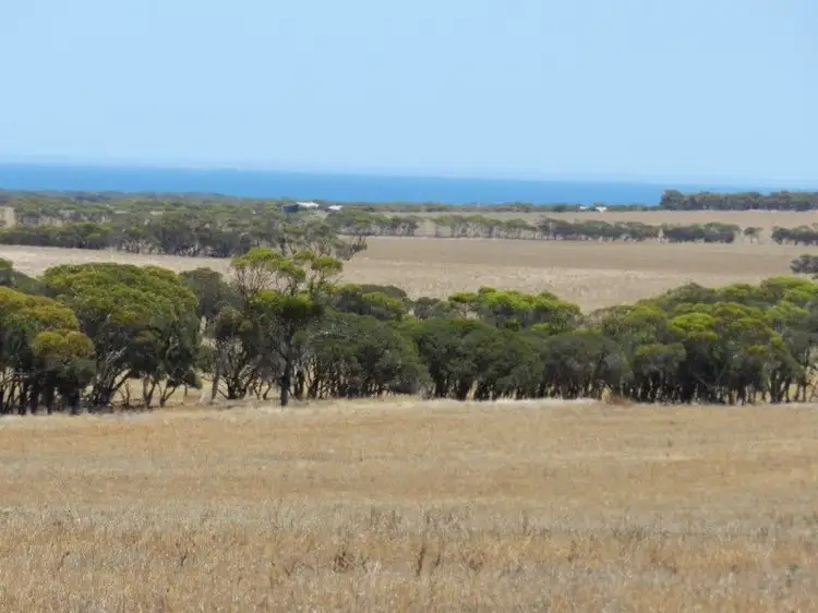 Fifth view of Homely rural property listing, Haslam Dog Fence Rd Haslam, Streaky Bay SA 5680