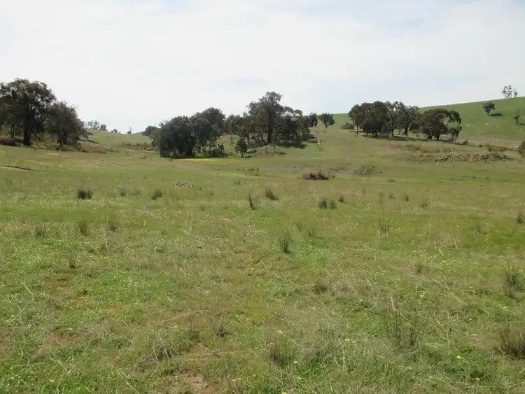 Seventh view of Homely rural property listing, Lot 27 Battery Crossing Rd, Reids Flat NSW 2586