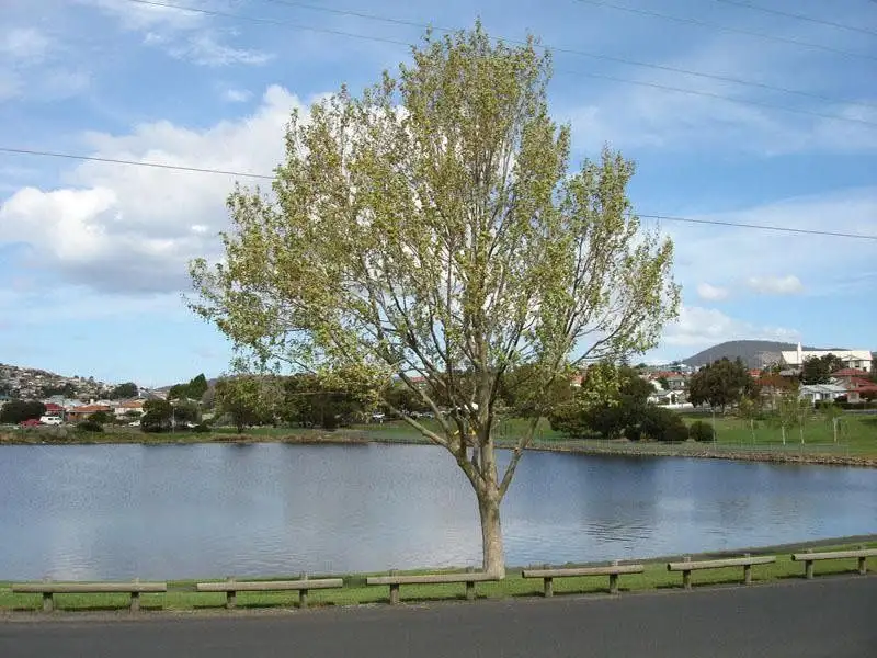 Main view of Homely house listing, 100 Howard Road, Goodwood TAS 7010