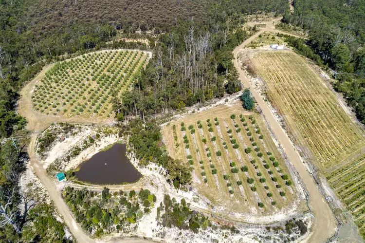 Fourth view of Homely land listing, 8926 Channel Highway, Huonville TAS 7109
