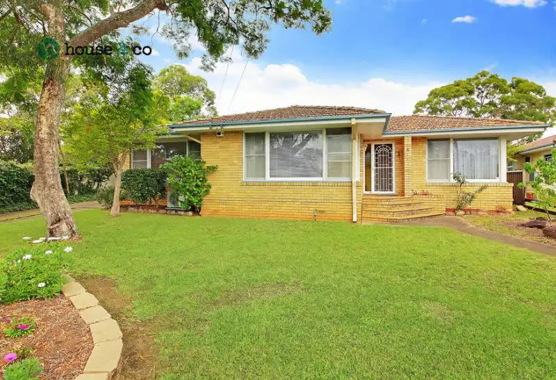 Main view of Homely house listing, 6 Narrun Crescent, Telopea NSW 2117