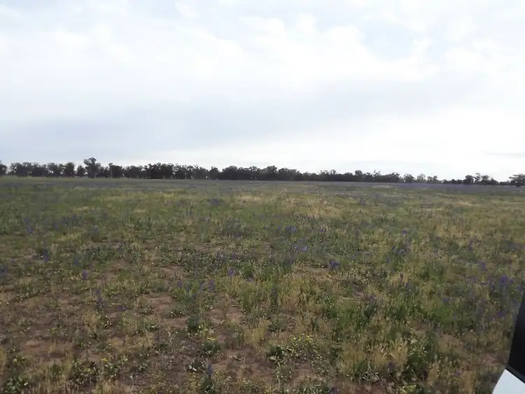 Seventh view of Homely rural property listing, Address available on request