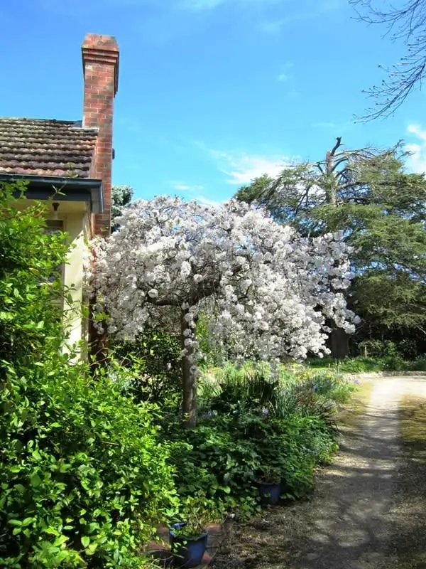 Fifth view of Homely house listing, 47 Nursery Rd, Macedon VIC 3440