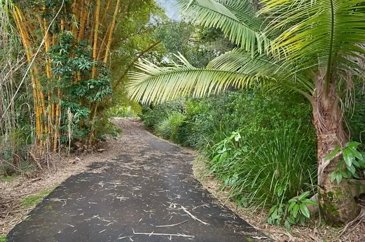 Fifth view of Homely land listing, 1A Coachwood Court, Federal NSW 2480