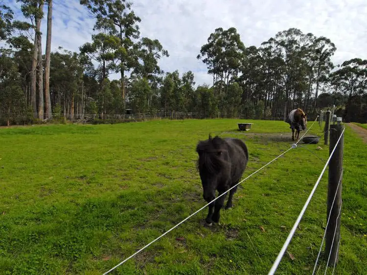 Seventh view of Homely house listing, 75 Moodys Road, Allens Rivulet TAS 7150