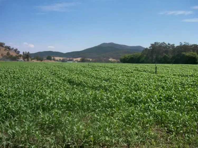 Fifth view of Homely rural property listing, 1068 Buffalo River Road, Myrtleford VIC 3737
