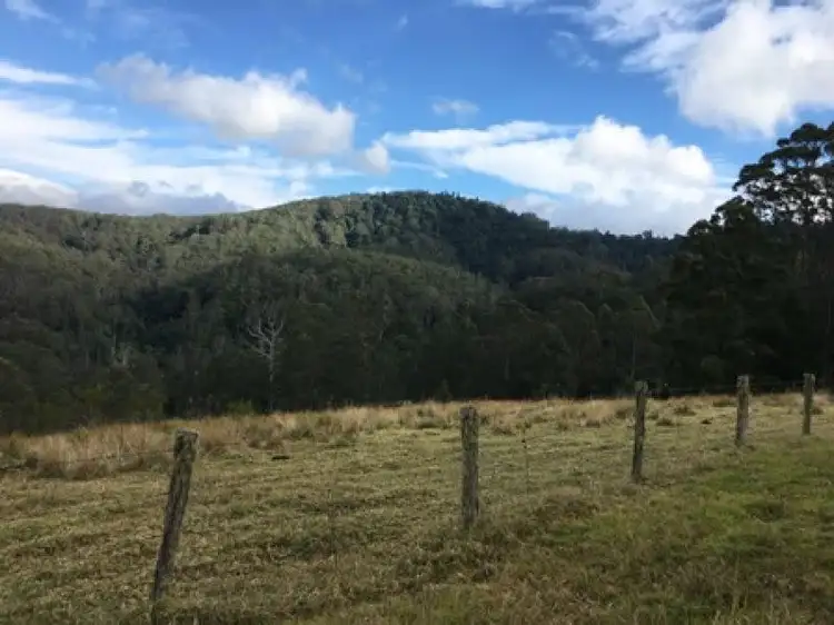 Fifth view of Homely land listing, 369 Mt Clunie Road, Killarney QLD 4373