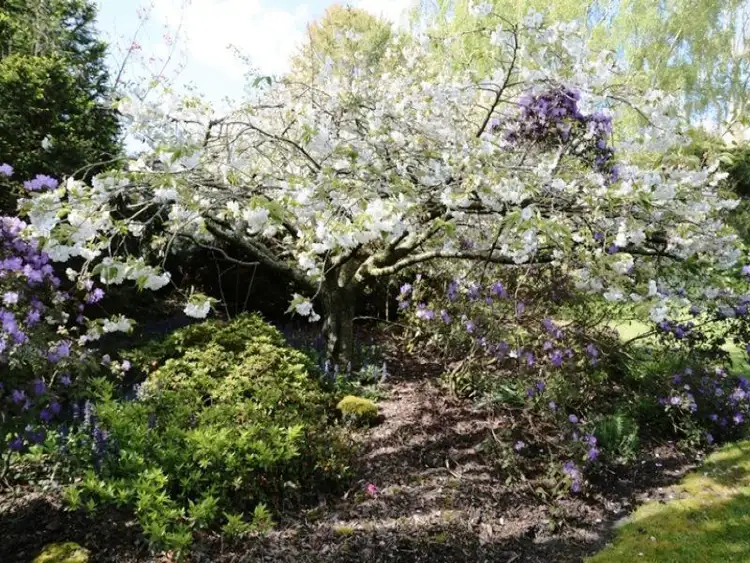 Fourth view of Homely house listing, 139 Trowutta Road, Smithton TAS 7330