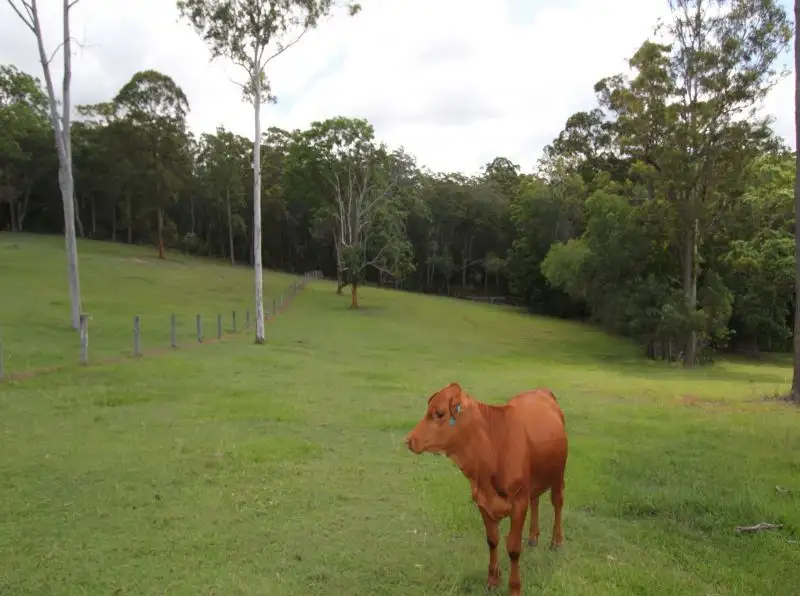 Main view of Homely land listing, LOT Lot 10, 11 Mcginn Close, Dayboro QLD 4521
