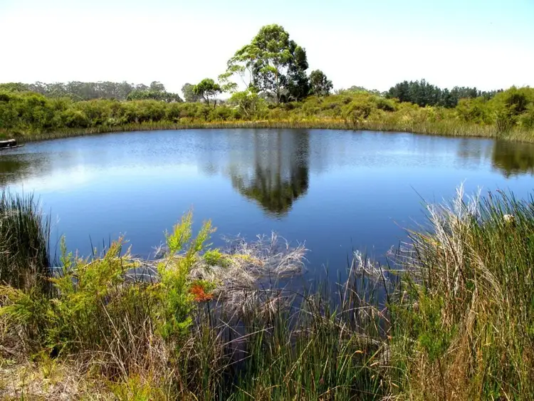 Seventh view of Homely rural property listing, 1714 Scotsdale Road, Denmark WA 6333