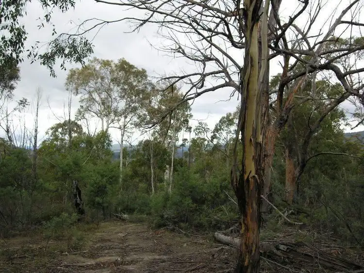 Sixth view of Homely land listing, Ellendale Road, Westerway TAS 7140