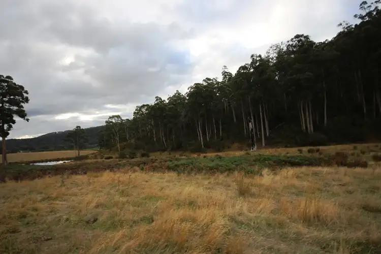 Fourth view of Homely land listing, 26 acres off Abbots Road, Nicholls Rivulet TAS 7112