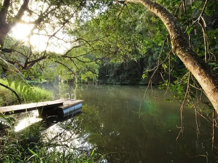 Third view of Homely house listing, 169 Cedar Road, Wilsons Creek NSW 2482