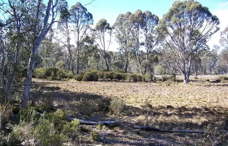 Sixth view of Homely land listing, Lot 1 Lyell Highway, Bronte Park TAS 7140