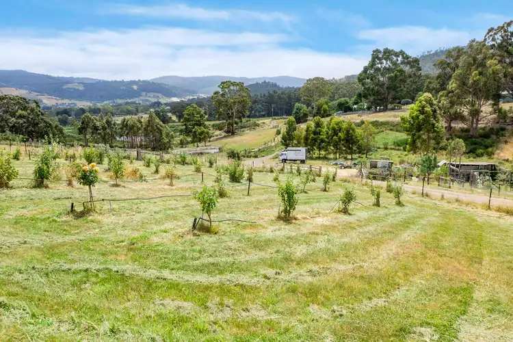Sixth view of Homely house listing, 10 Schultz Street, Cradoc TAS 7109