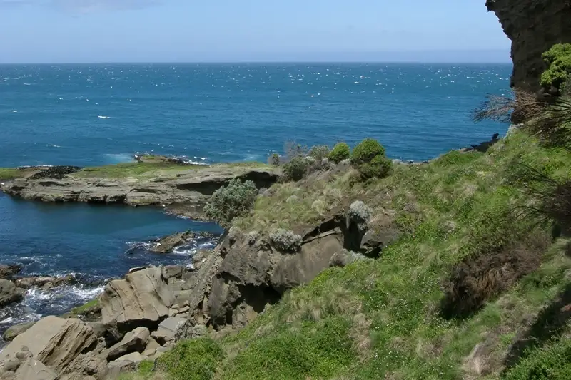 Main view of Homely house listing, 119 Knowledge Track (Yuulong), Apollo Bay VIC 3233