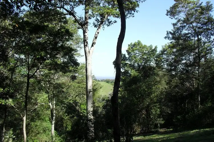 Fourth view of Homely rural property listing, Address available on request