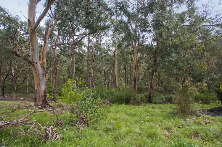 Second view of Homely land listing, 19 McRae Road, Wye River VIC 3221