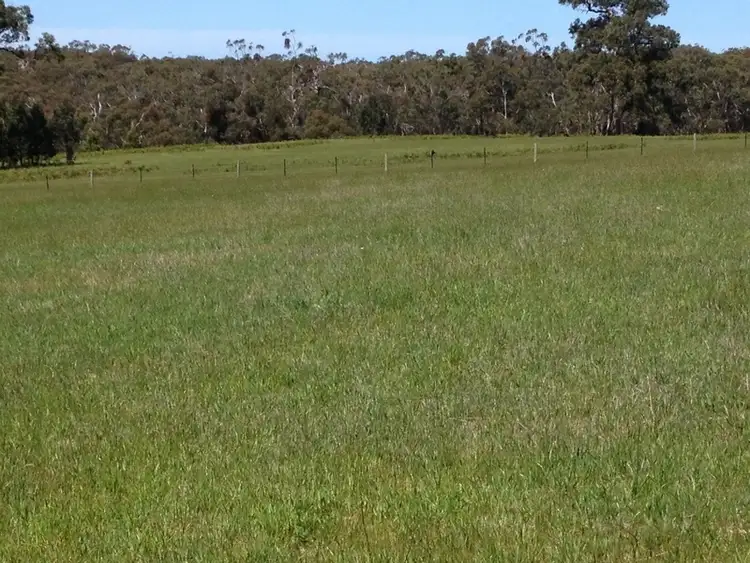 Fifth view of Homely land listing, Lot 1, 1265 Winchelsea-Deans Marsh Road, Bambra VIC 3241