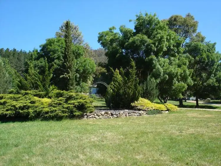 Seventh view of Homely land listing, 334 Buffalo Creek Road, Myrtleford VIC 3737