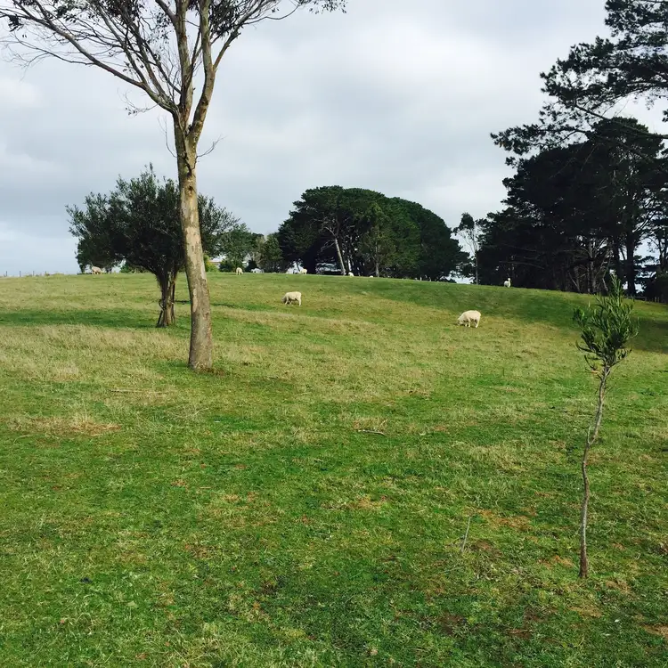 Main view of Homely land listing, Lot 6, LOT Lot 6, 223 O'Gradys Ridge Road, Foster VIC 3960
