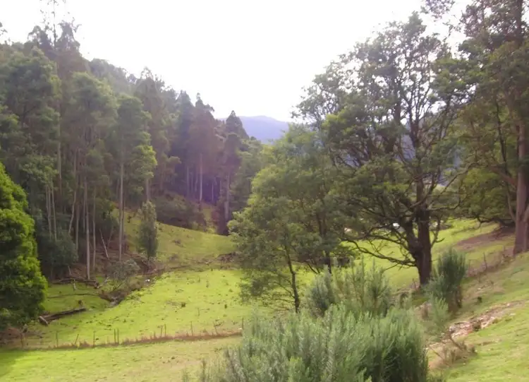 Fourth view of Homely land listing, Bygraves Road, Crabtree TAS 7109