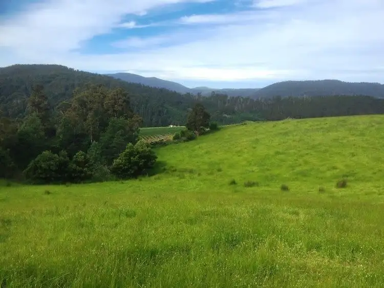 Fourth view of Homely land listing, Lot 1 Wallace Road, Cygnet TAS 7112