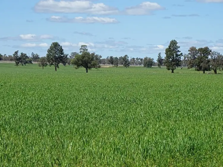 Seventh view of Homely rural property listing, Address available on request