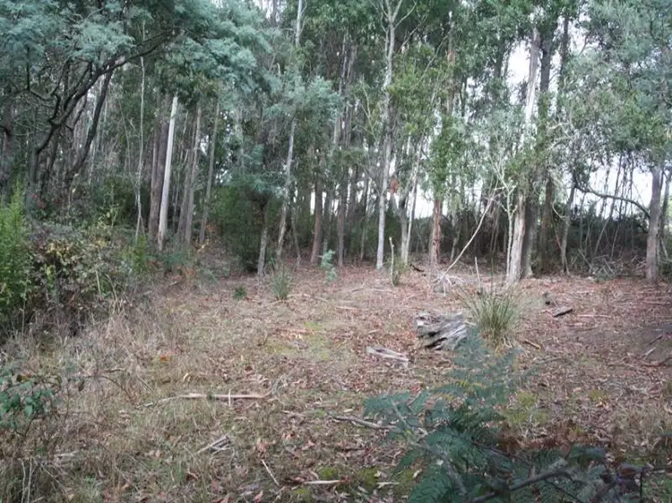 Main view of Homely land listing, Lot 4 Holmes Road, Ellendale TAS 7140