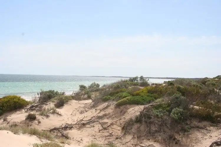 Third view of Homely land listing, Lot 52 Flinders Highway Perlubie, Streaky Bay SA 5680