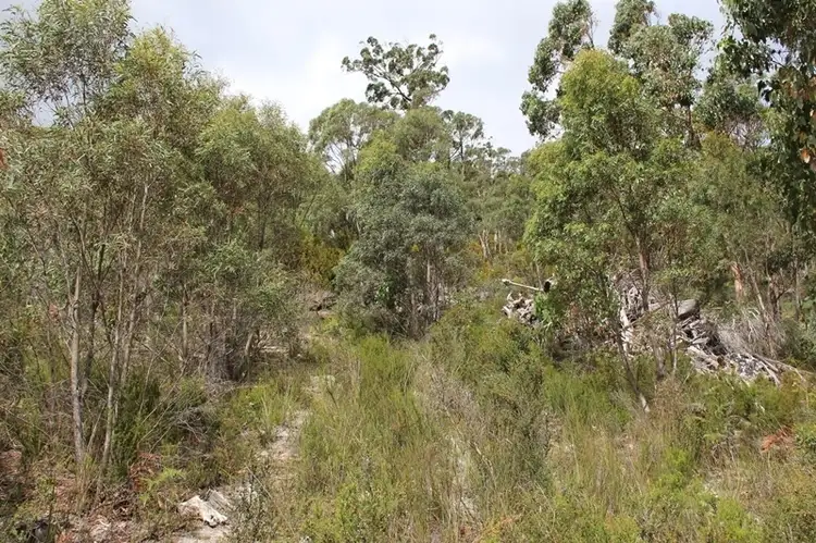 Seventh view of Homely land listing, 547 She Oak Road, Judbury TAS 7109