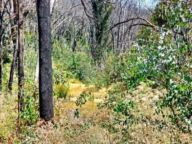 Fifth view of Homely rural property listing, 85 Doctors Creek Road, Clonbinane VIC 3658