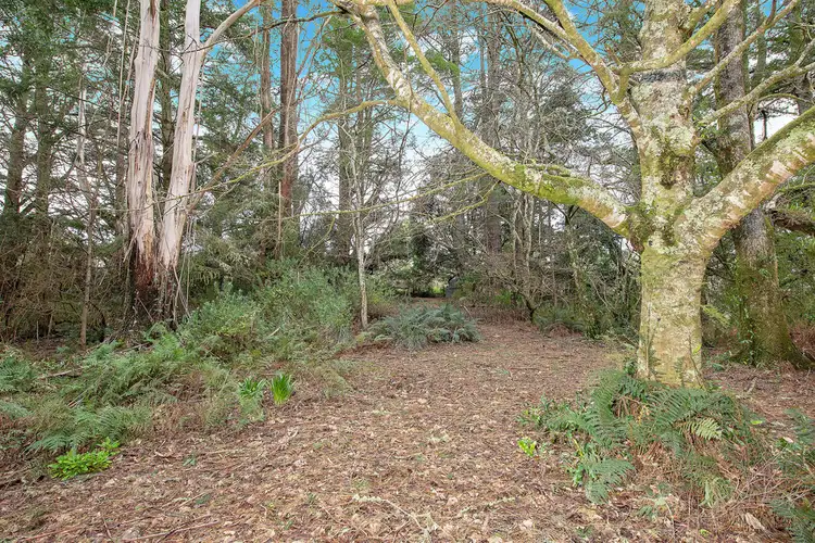 Third view of Homely rural property listing, 1100 Skenes Creek Road, Tanybryn VIC 3249
