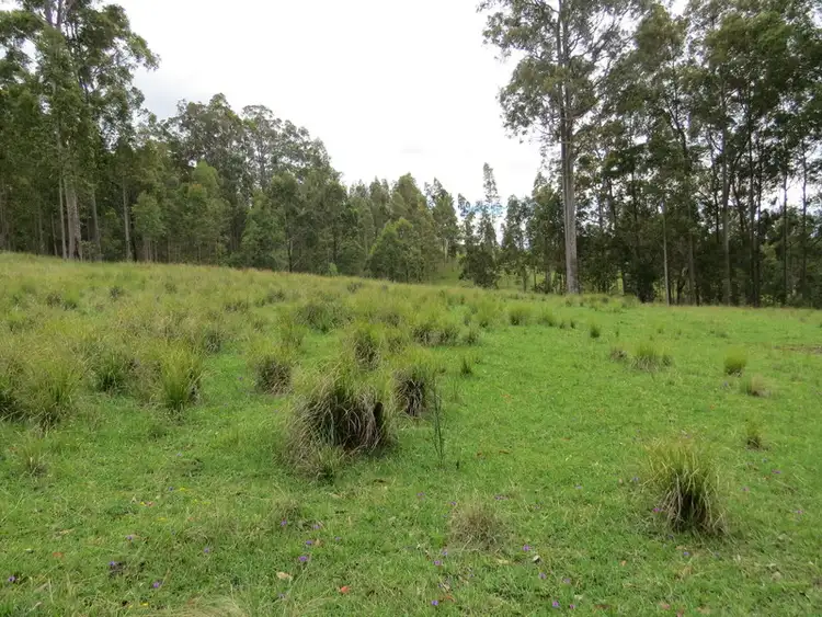 Sixth view of Homely rural property listing, LOT 26 Congewai Road, Congewai NSW 2325