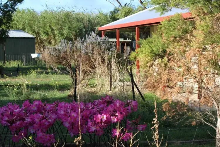 Sixth view of Homely rural property listing, 14 Gap Road Warrow, Coulta SA 5607